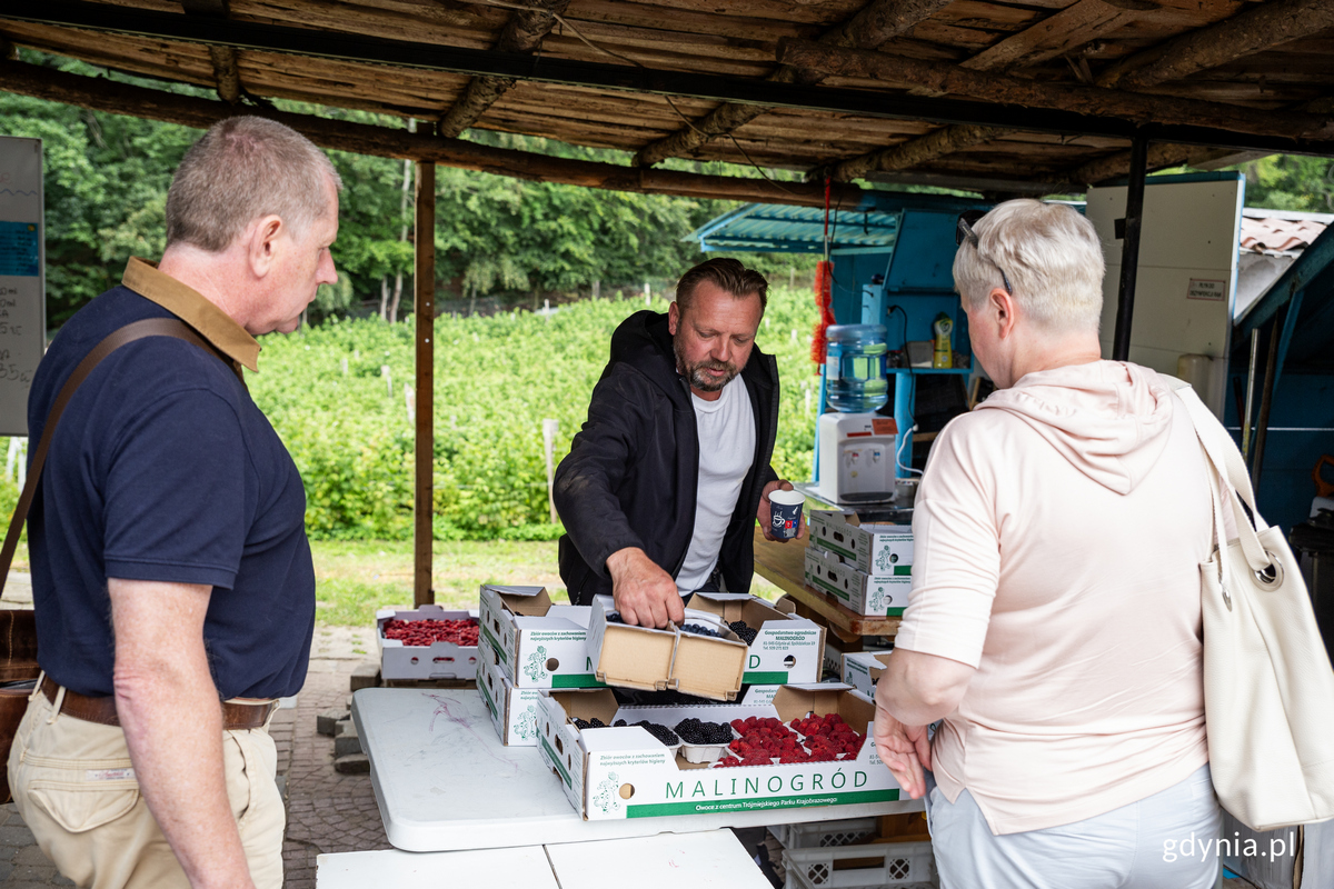 Mężczyzna sprzedaje owoce z lady, obok dw&oacute;jka klient&oacute;w, kobieta i mężczyzna.