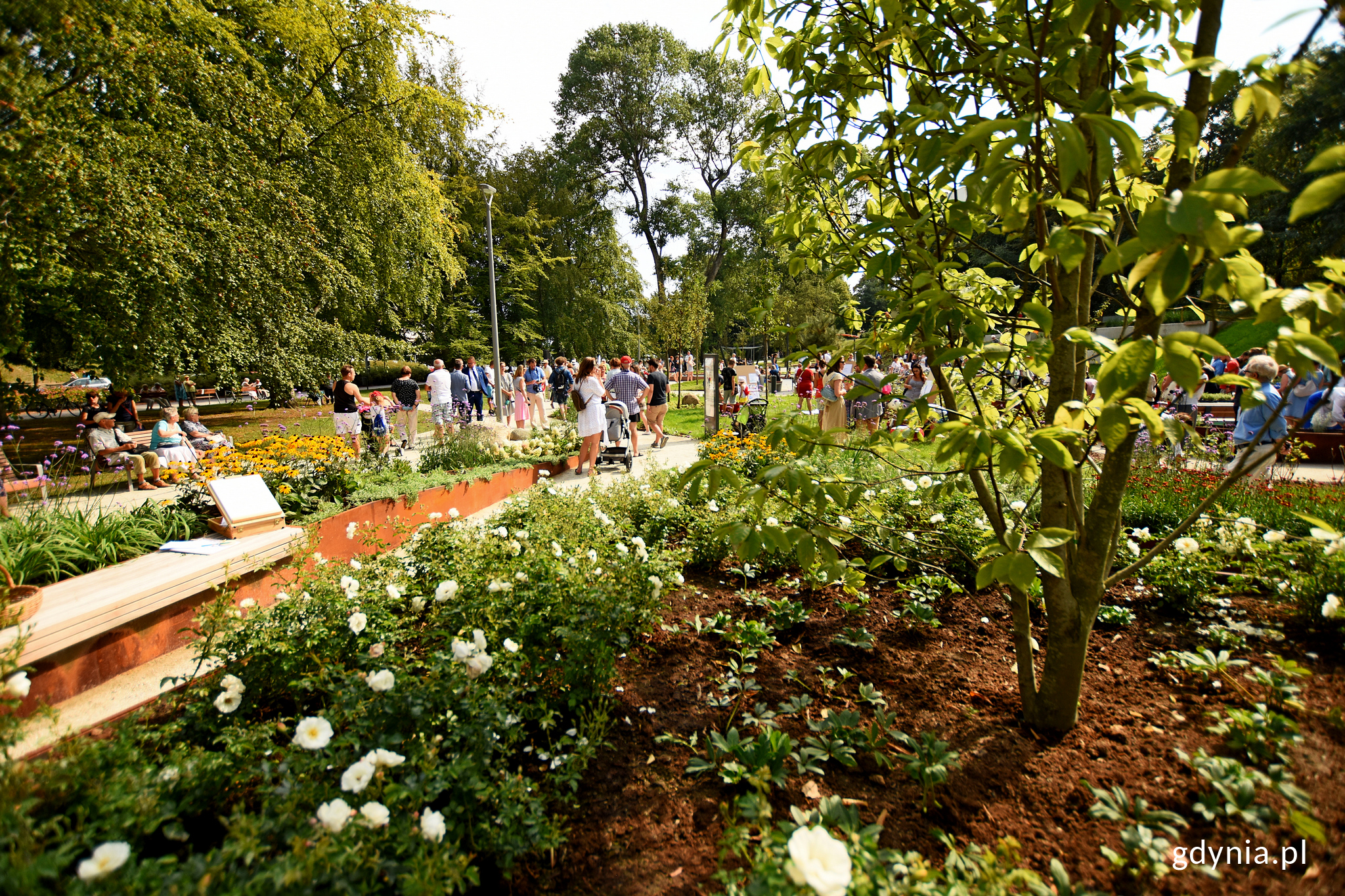 Pierwszy etap Parku Centralnego, fot. Kamil Złoch