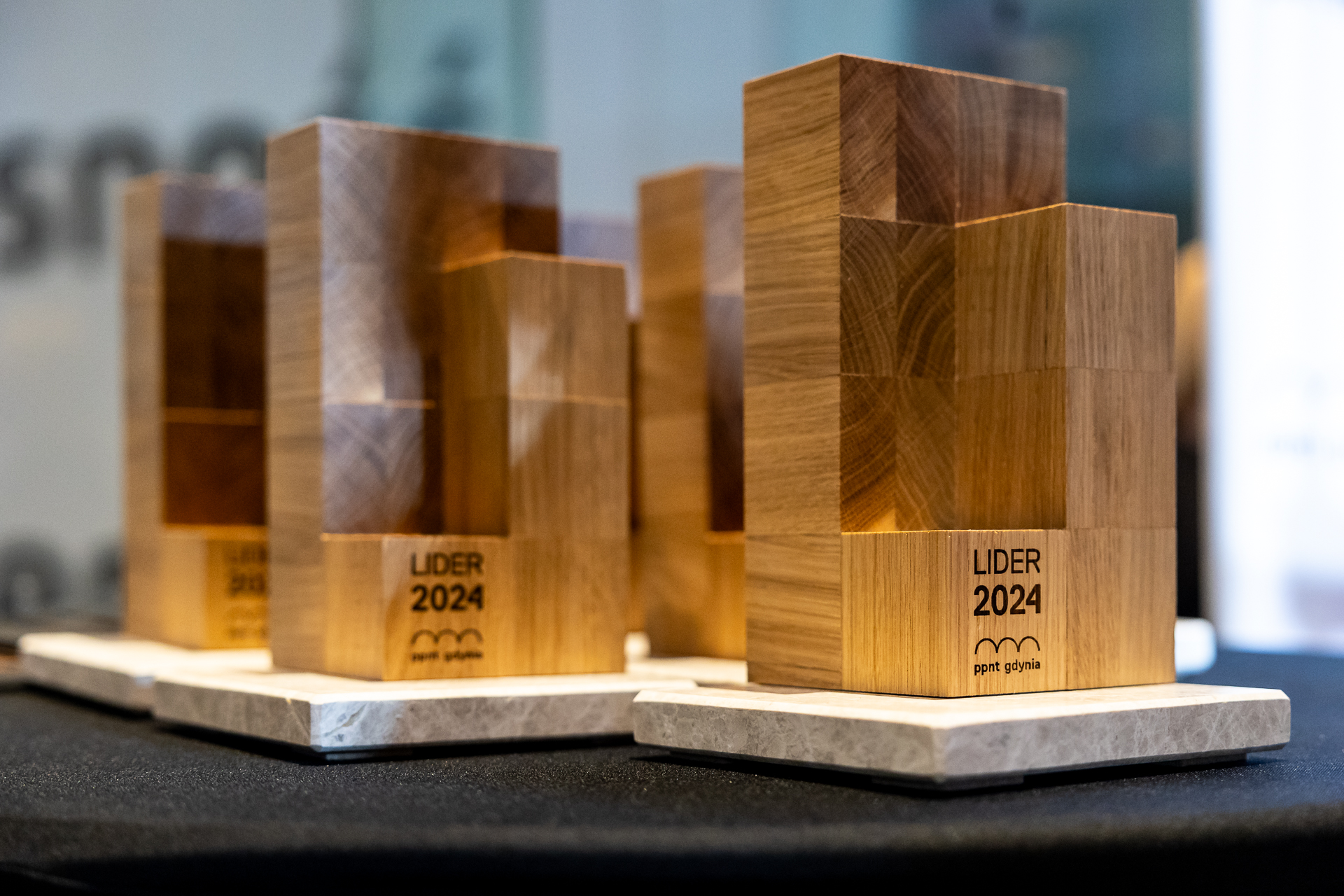 Tegoroczna statuetka &bdquo;Lidera PPNT&rdquo;