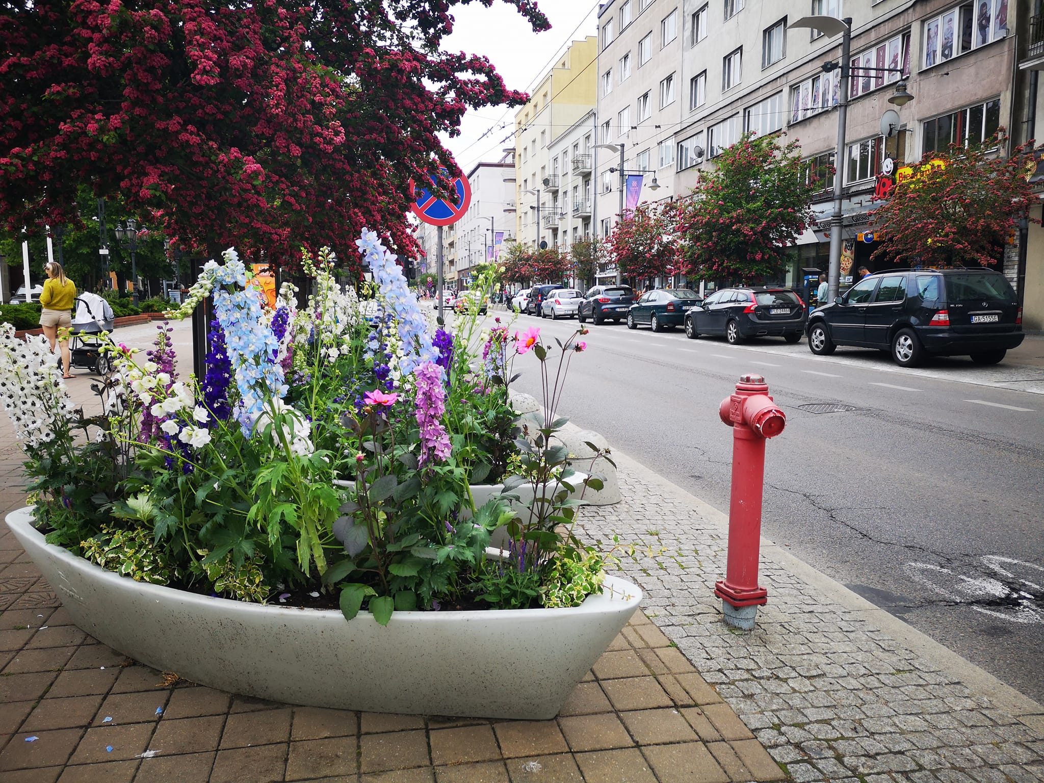 Charakterystyczne ł&oacute;dki także zaskoczą w tym roku roślinnymi kompozycjami, fot. Karolina Szypelt