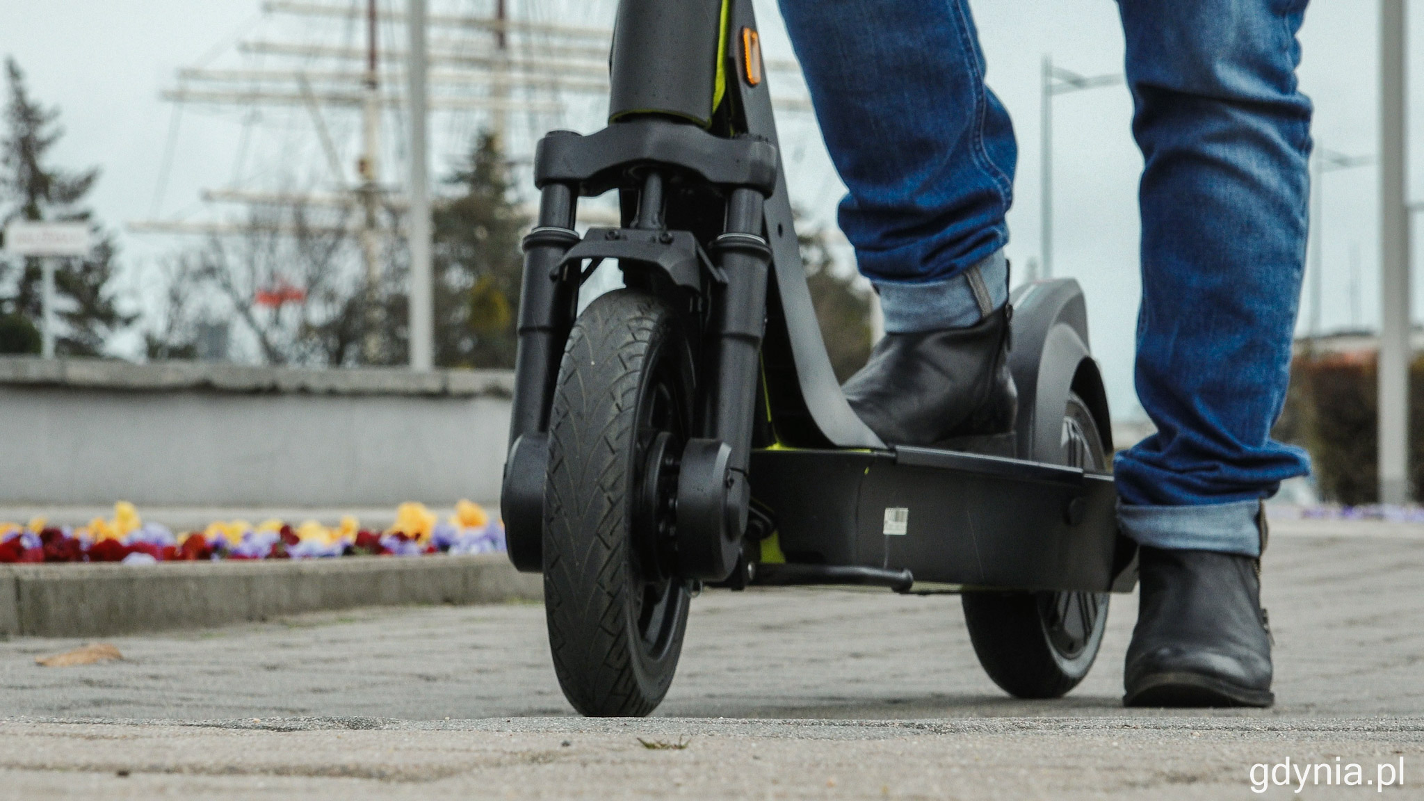 fot. Marcin Mielewski