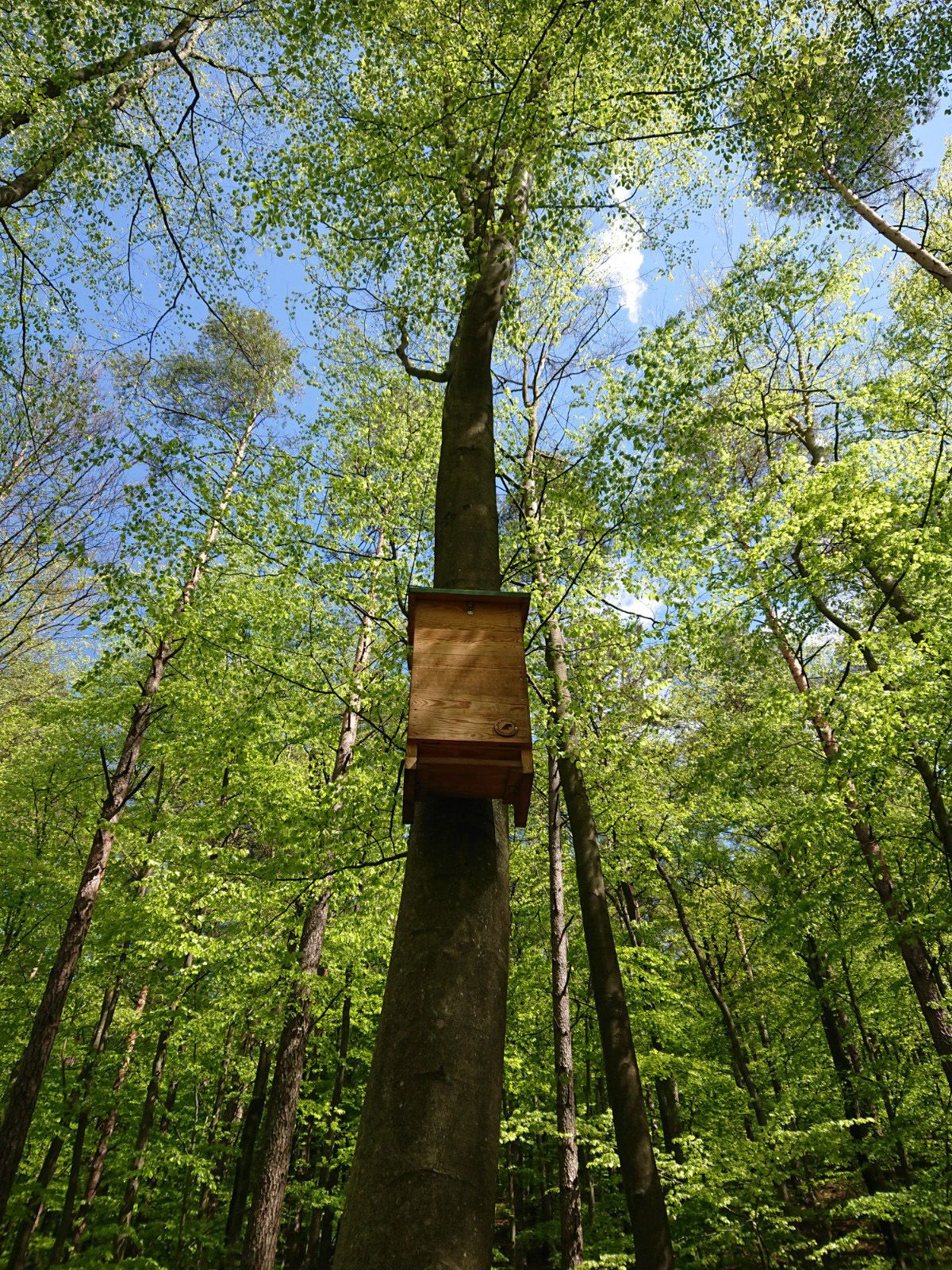 Budka dla pszcz&oacute;ł