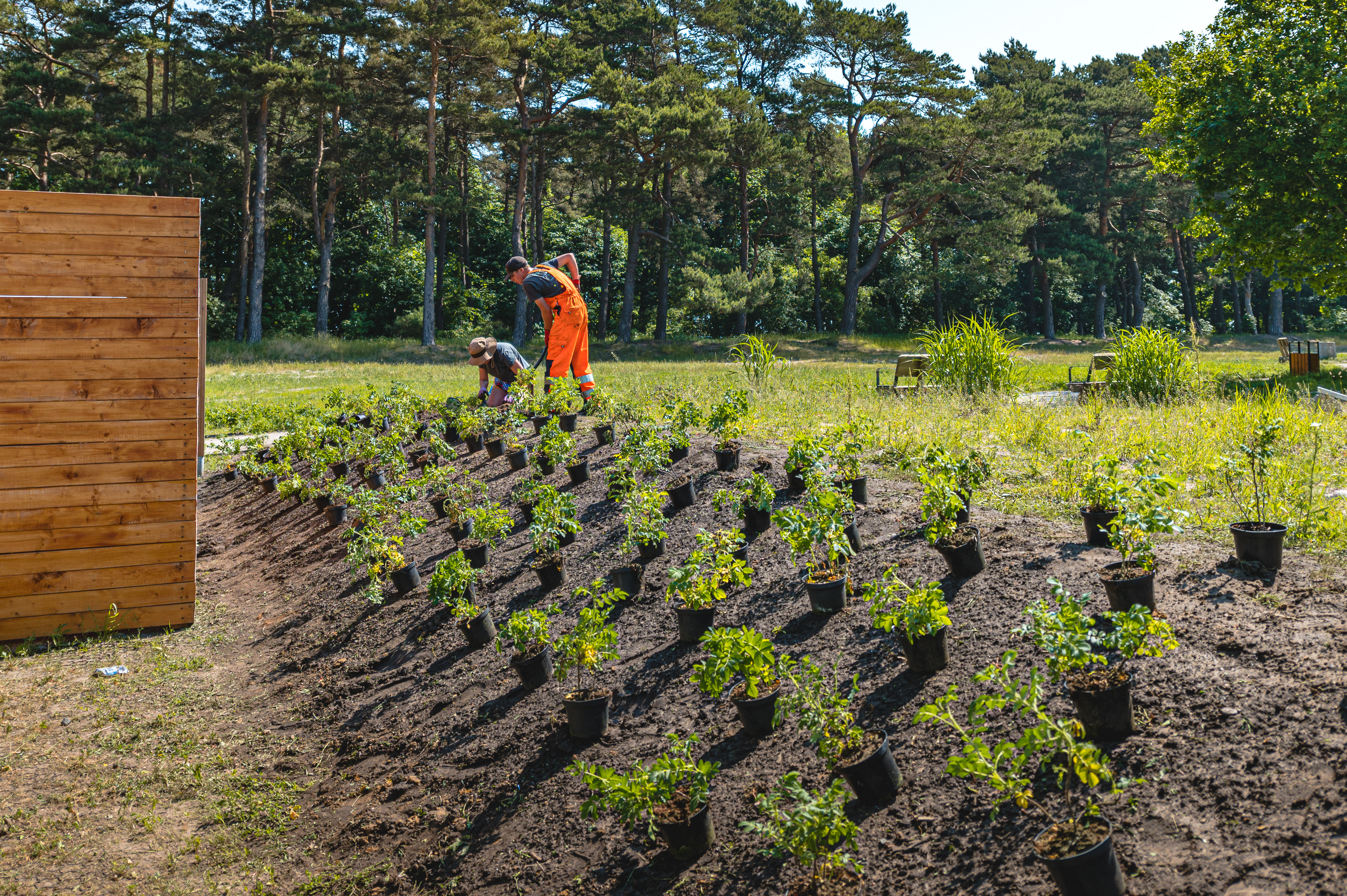 Polana Rekreacyjna, fot. materiały prasowe.