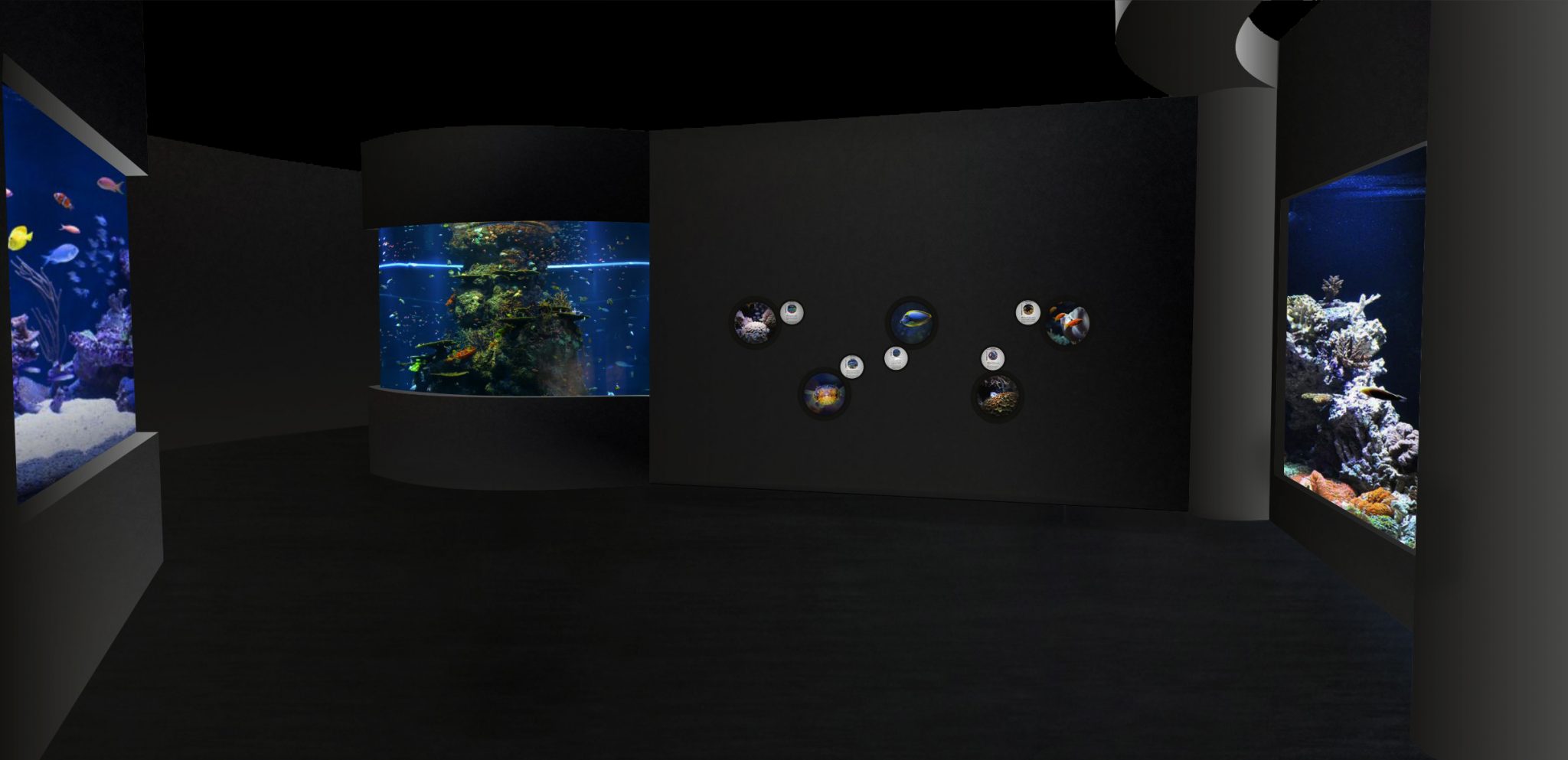 Wizualizacja nowej ścieżki edukacyjnej Akwarium Gdyńskiego // fot. materiały prasowe Akwarium Gdyńskiego / Morski Instytut Rybacki &ndash; Państwowy Instytut Badawczy