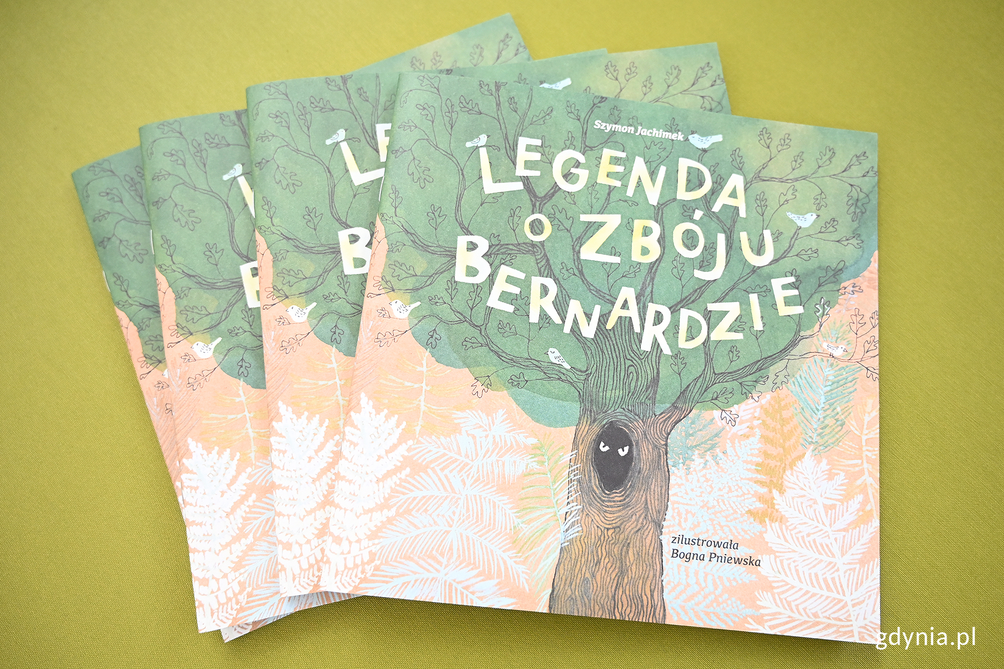 Książeczka gdynieczka "Legenda o zb&oacute;ju Bernardzie" // fot. Michał Puszczewicz