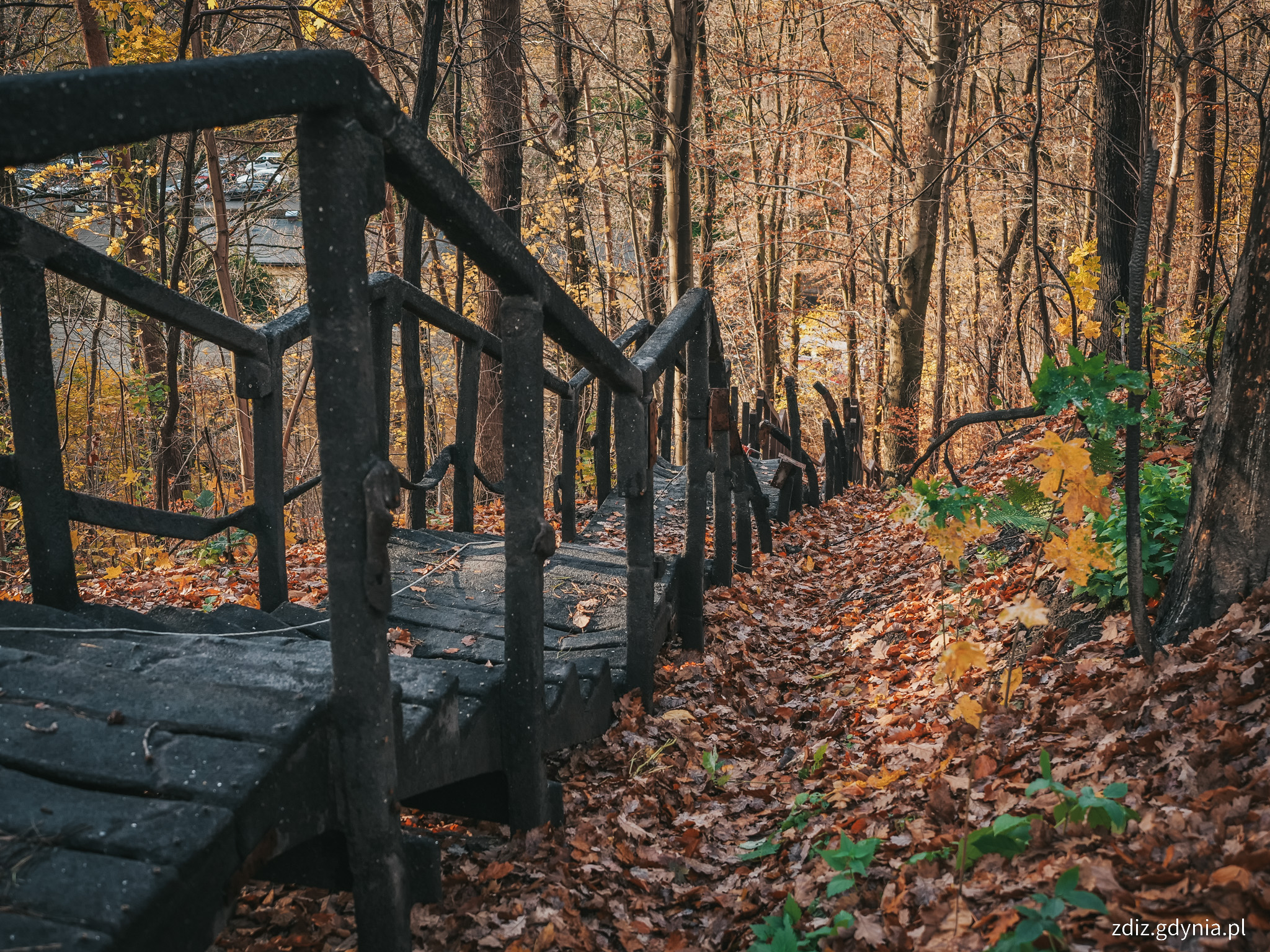 Spalone schody na Babich Dołach