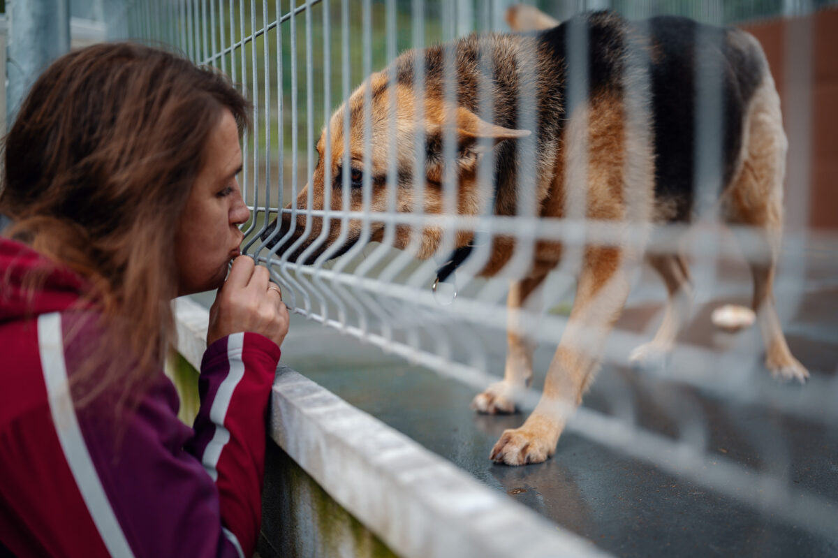 Pani Ewa z suczką Deizi. Podopieczna znalazła już dom. Została zaadoptowana przez rodzinę, kt&oacute;ra już wcześniej przygarnęła Pomiego. &ldquo;To ważne, bo wiemy, że pies trafia w dobre ręce&rdquo; &ndash; m&oacute;wi Ewa Nosowska-Wichert//fot. Dawid Linkowski