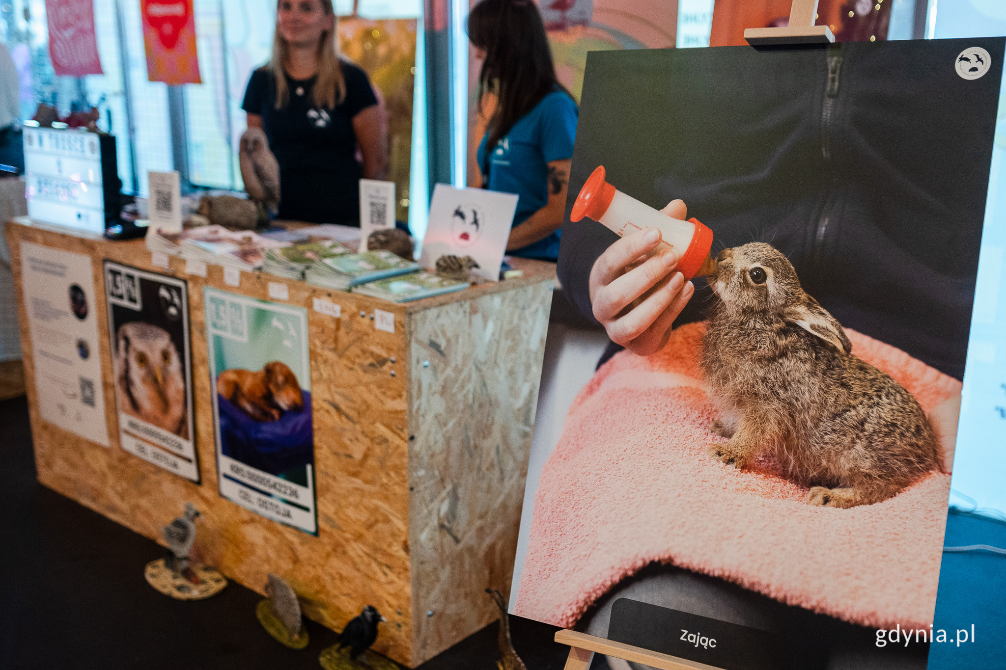 Stoisko Pomorskiego Ośrodka Rehabilitacji Dzikich Zwierząt &bdquo;Ostoja&rdquo; w strefie NGO na Open'erze // fot. Karol Stańczak