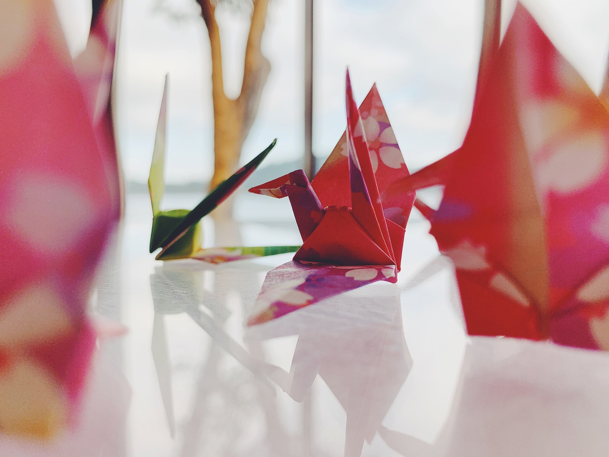 Origami w Bibliotece Śr&oacute;dmieście