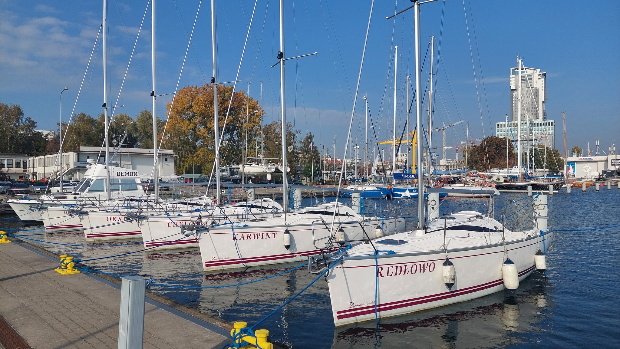 Marina Gdynia, basen portowy, na pierwszym planie kilka białych żagl&oacute;wek, w tle bosmanat, budynki, Sea Towers