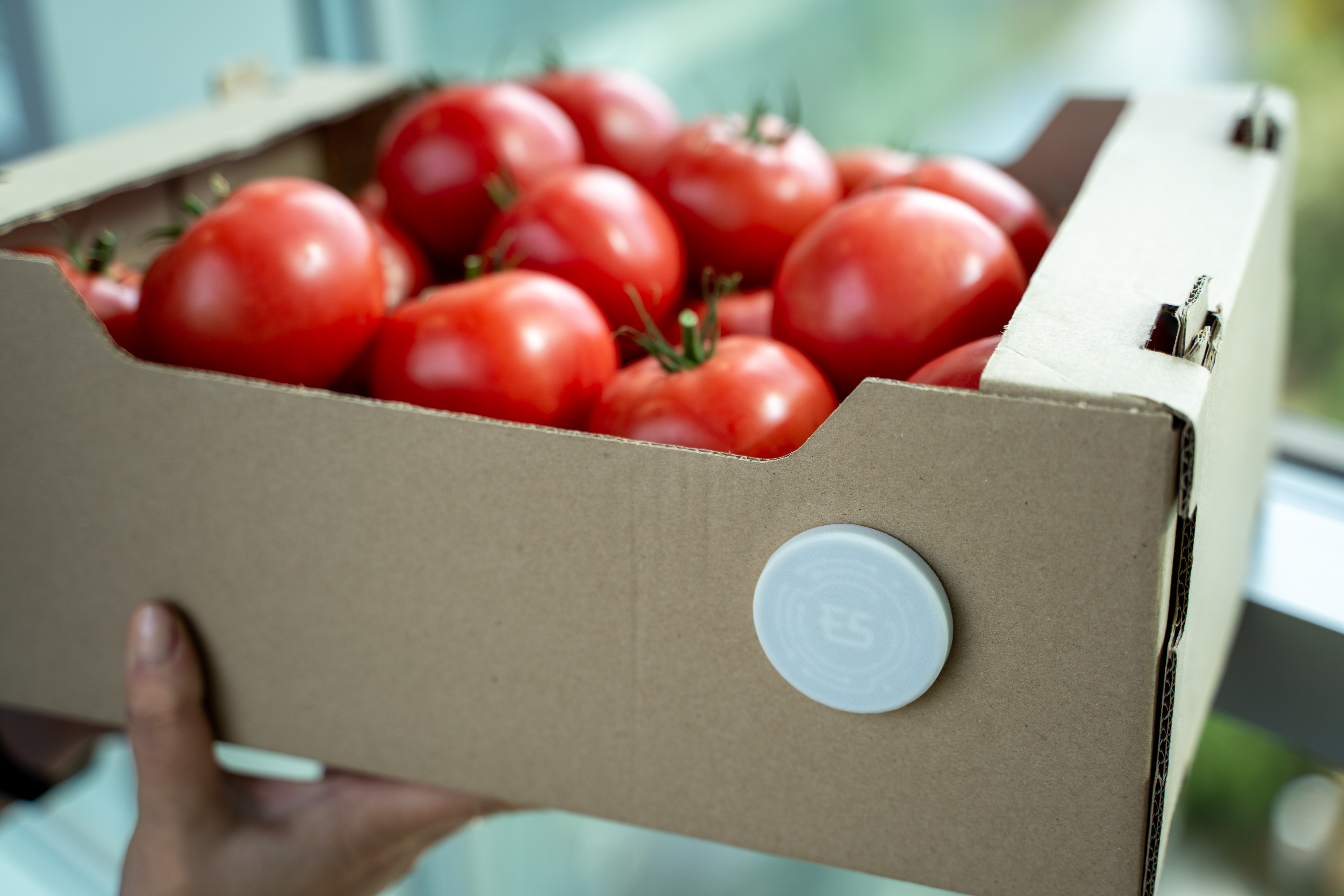 System ESLOG, fot. Embedded.Systems.do