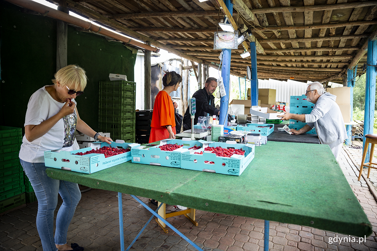 Daniel Wojtyński obsługuje klient&oacute;w, kt&oacute;rzy kupują większe ilości owoc&oacute;w. Fot. Przemysław Kozłowski