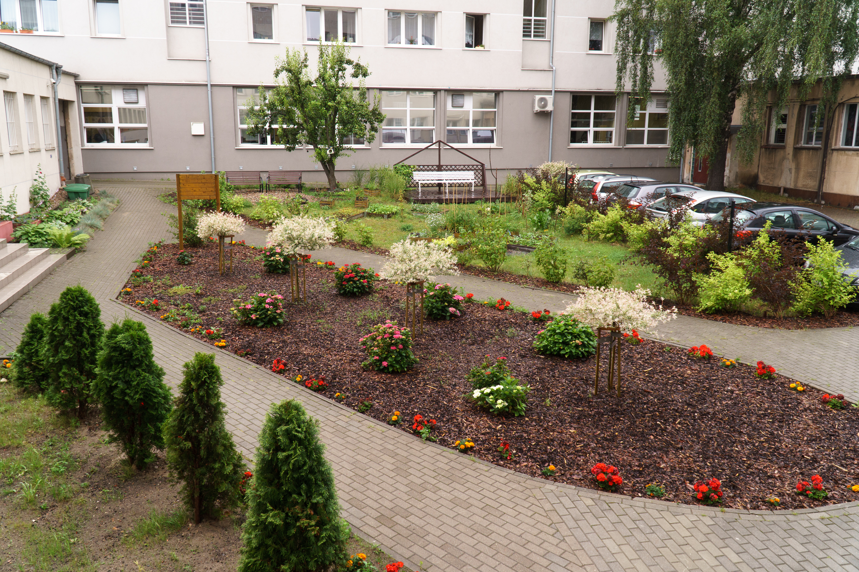 Ogr&oacute;d społeczny na Grab&oacute;wku // fot. Aleksander Trafas, Laboratorium Innowacji Społecznych