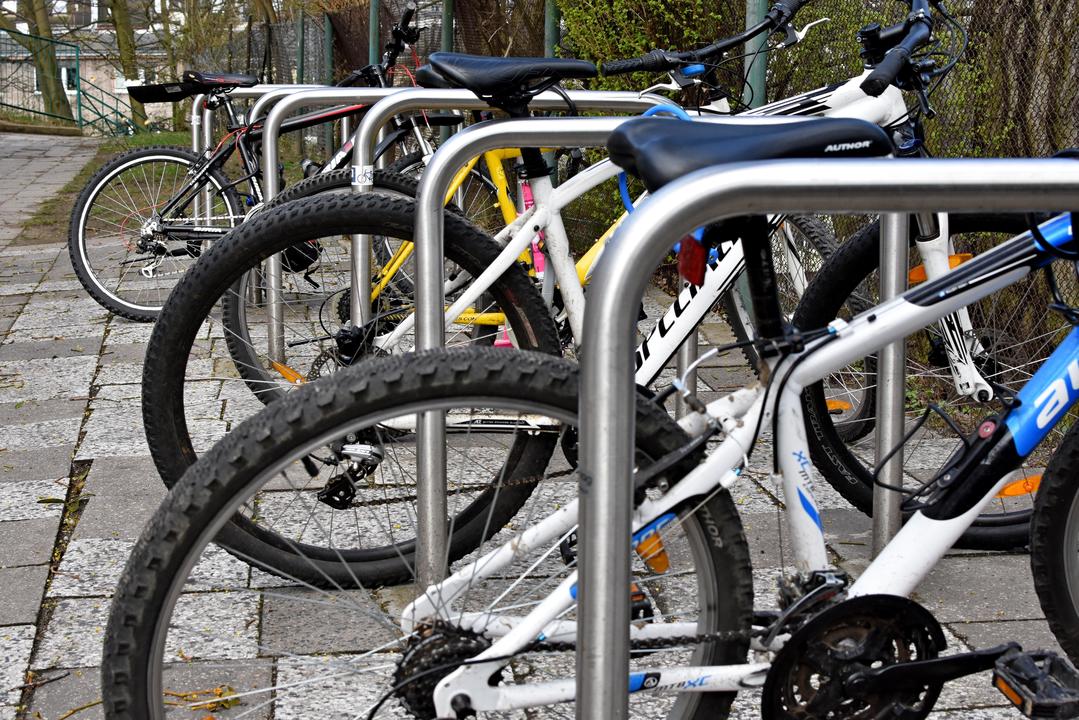 Szkoła Podstawowa nr 51 w Gdyni już zapowiedziała sw&oacute;j udział w kampanii, fot. Kamil Złoch