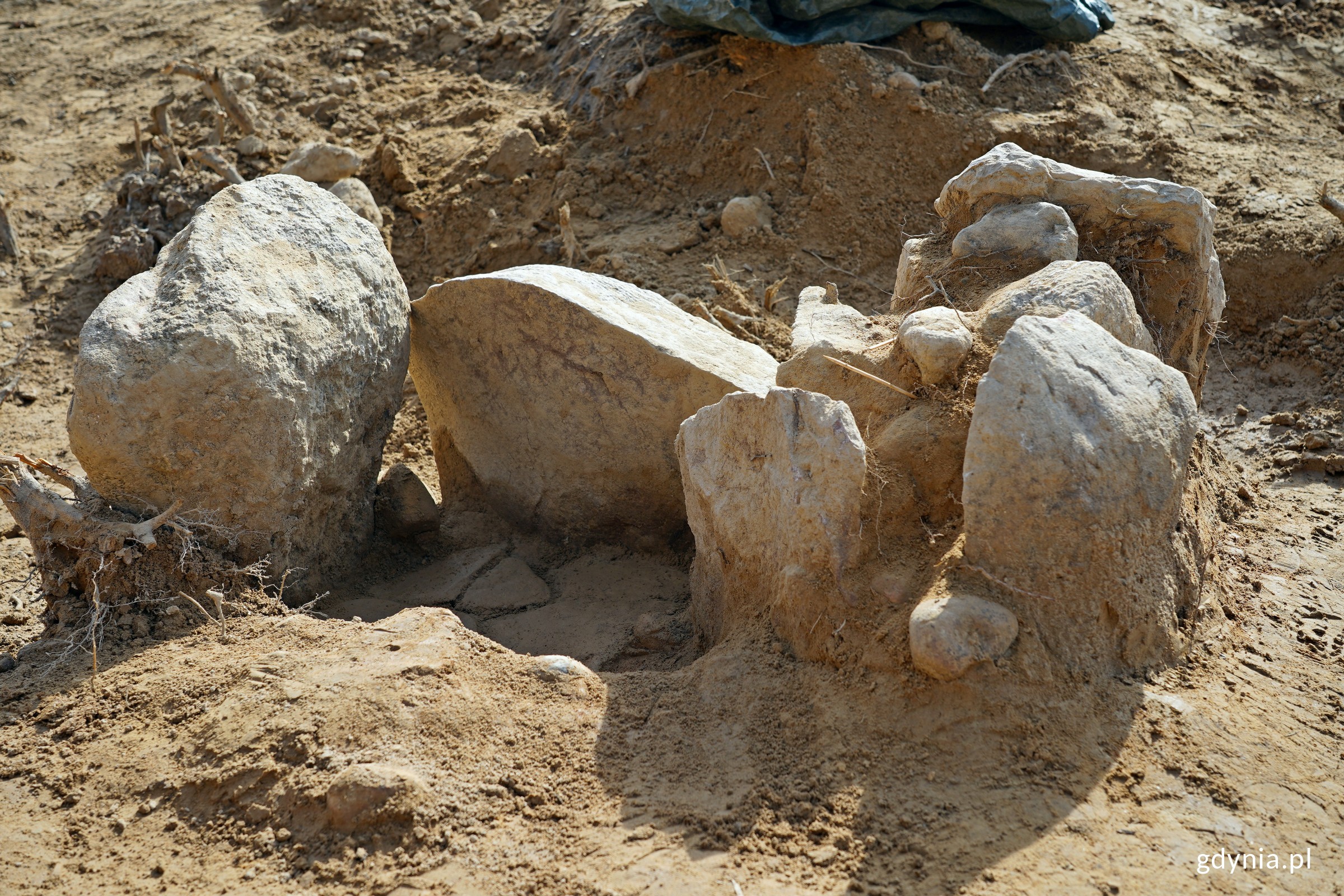 Jeden z grob&oacute;w zidentyfikowanych na budowie Obwodnicy Witomina (fot. Magdalena Czernek)