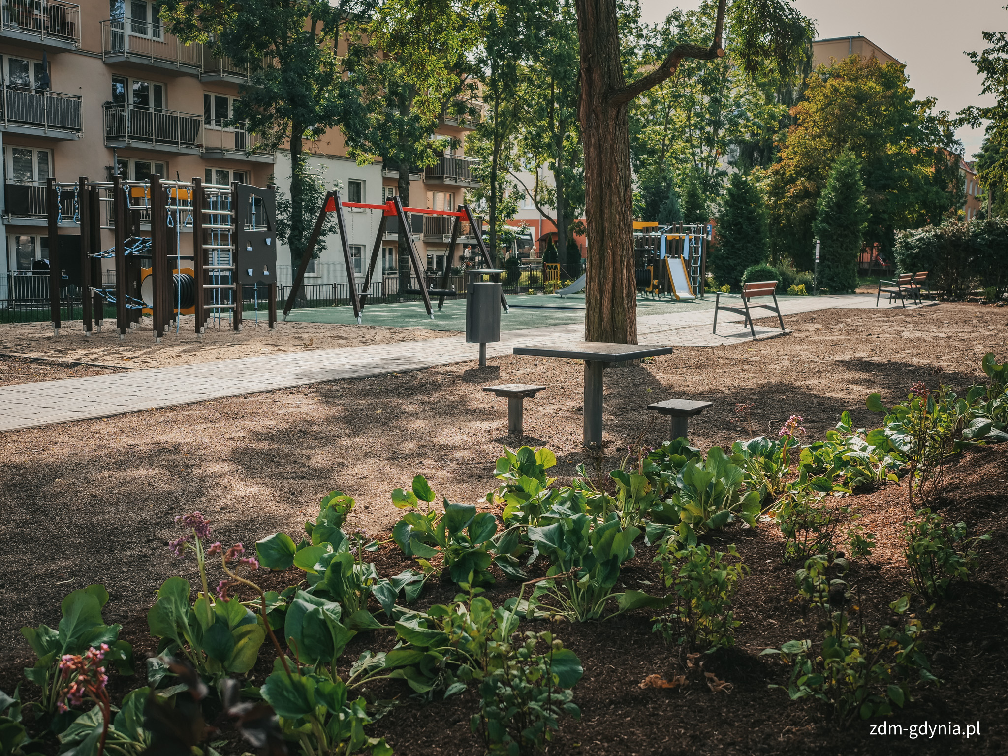 Odnowiony plac zabaw przy SP nr 33 w Gdyni (fot. Marcin Mielewski, Zarząd Dr&oacute;g Miejskich)