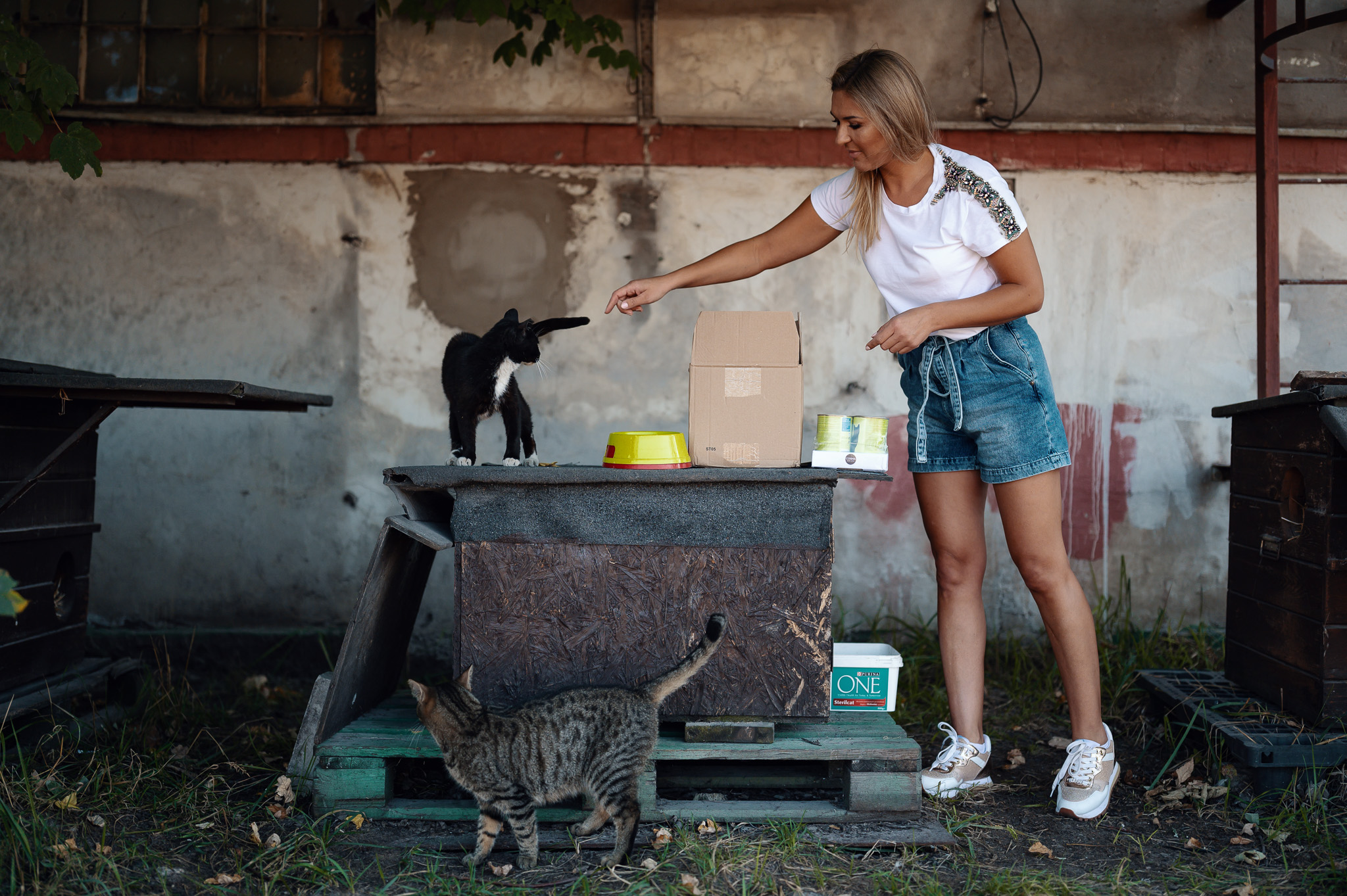 Pani Marlena Pindras z kotami wolno żyjącymi