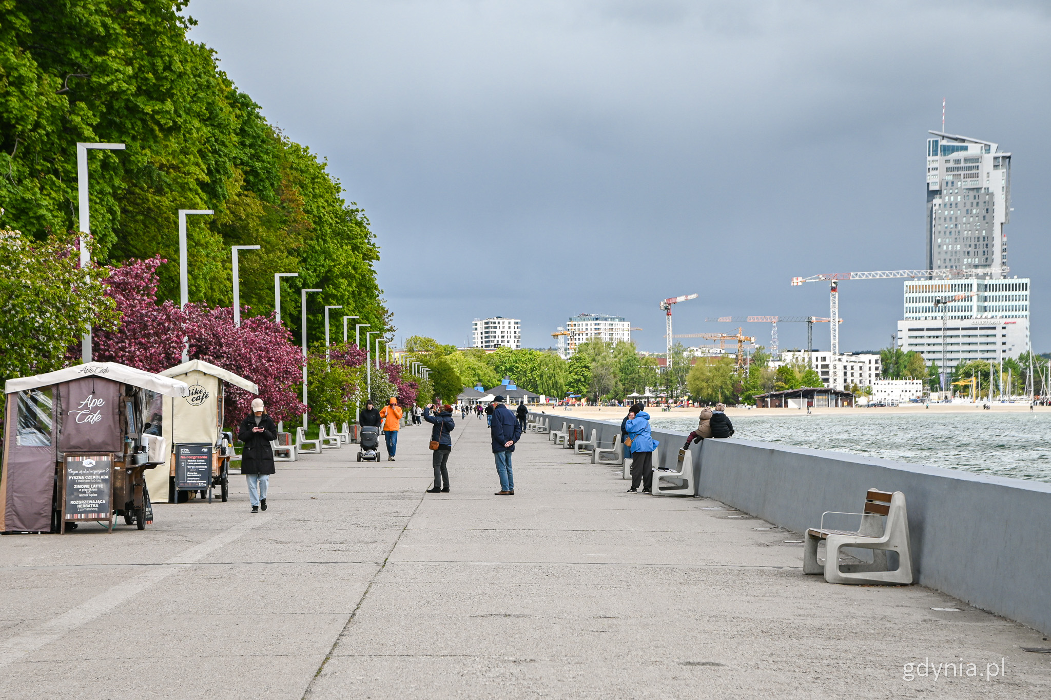 Bulwar Nadmorski w Gdyni, widoczny murek, chodnik, rowerowe kawiarnie i zieleń, osoby spacerują po bulwarze, w tle morze, budynki