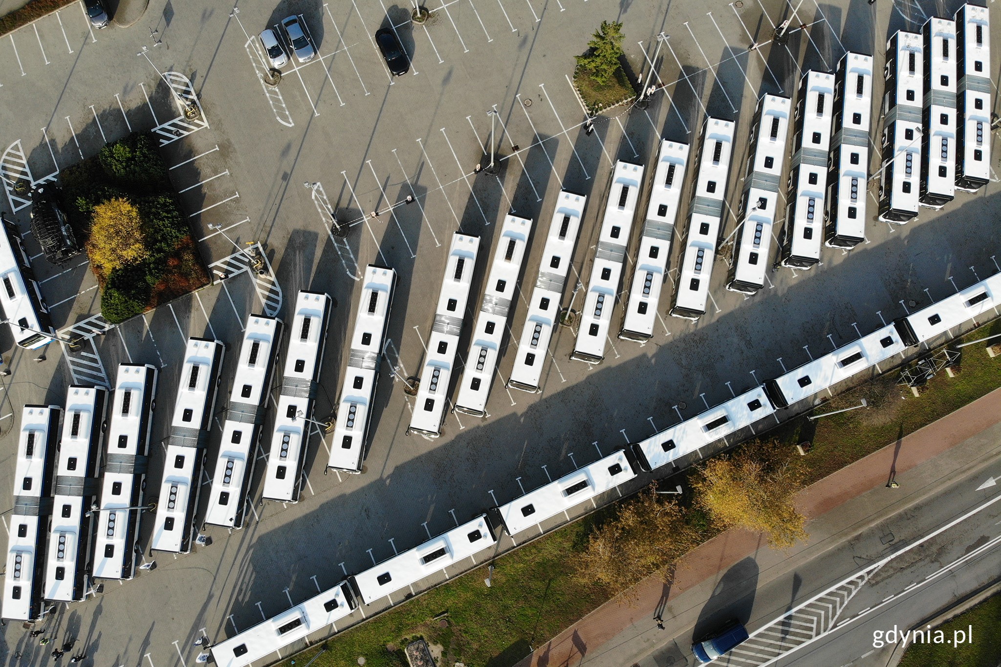 55 nowoczesnych i ekologicznych autobus&oacute;w trafiło do Gdyni // fot. Michał Puszczewicz