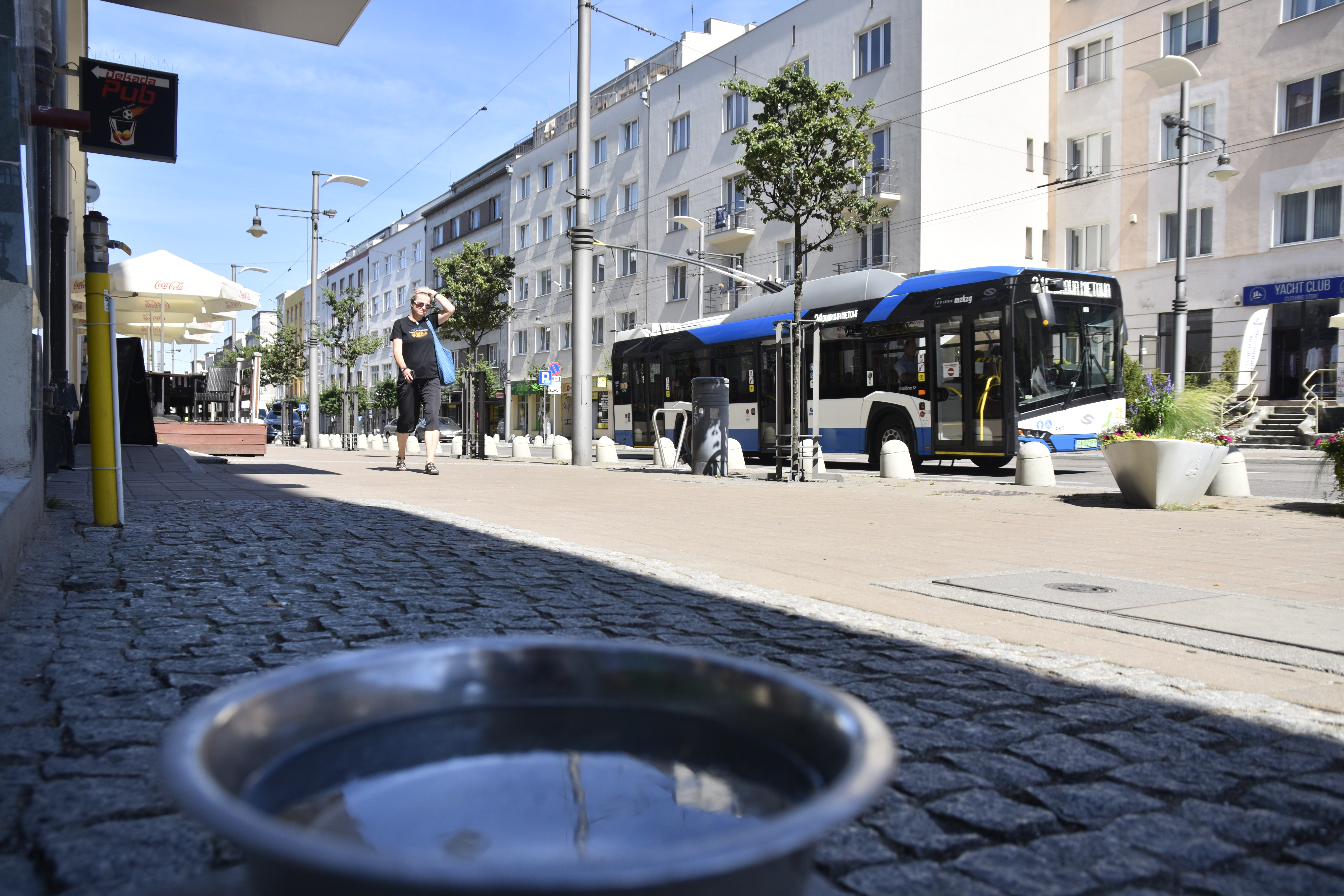 Miseczka z wodą dla ps&oacute;w pod gdyńską &bdquo;Żabką", fot. Sławomir Okoń