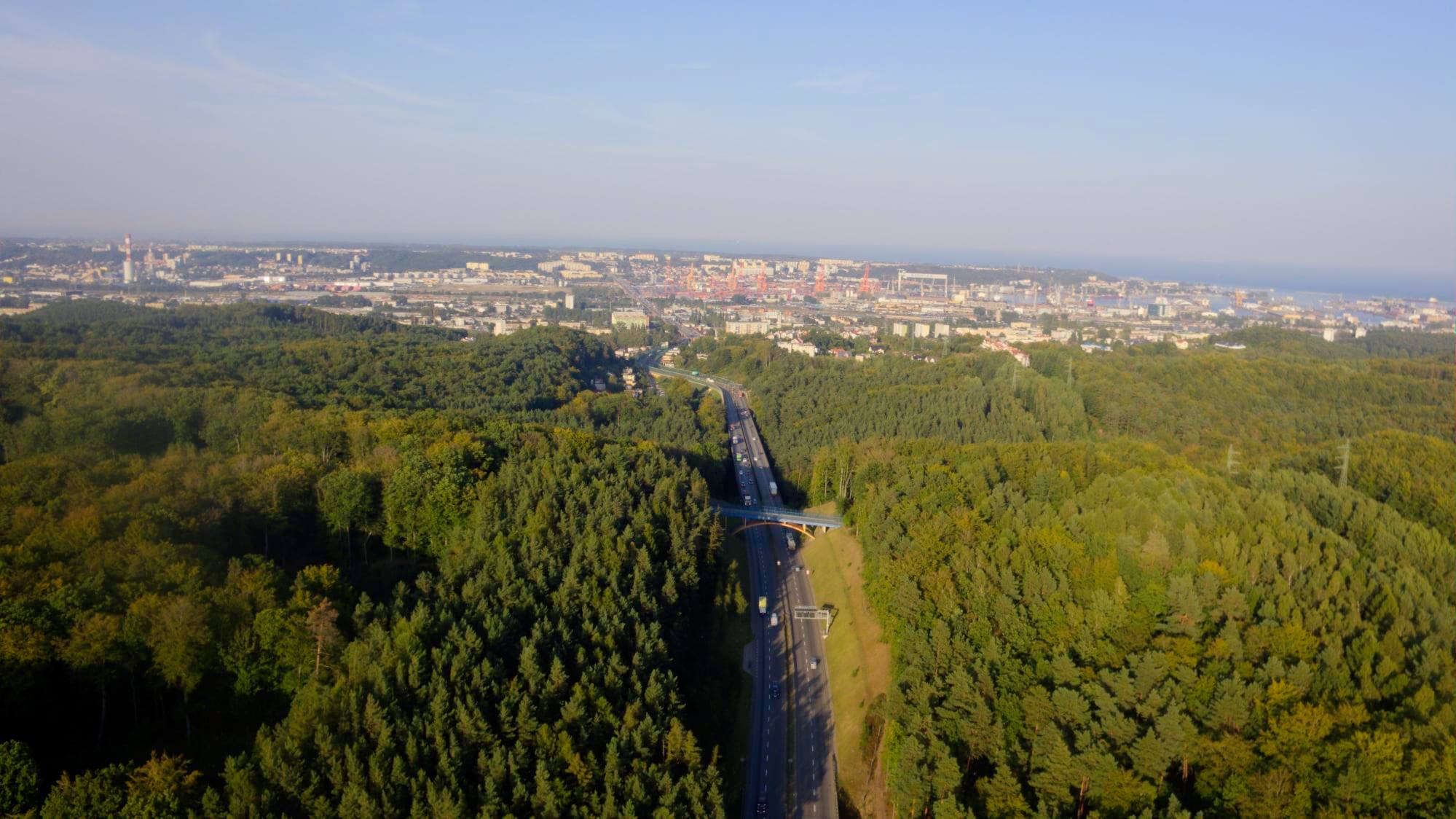 Zdjęcie z drona, widoczny las, trasa Kwiatkowskiego, kładka dla pieszych, w oddali fragment Gdyni