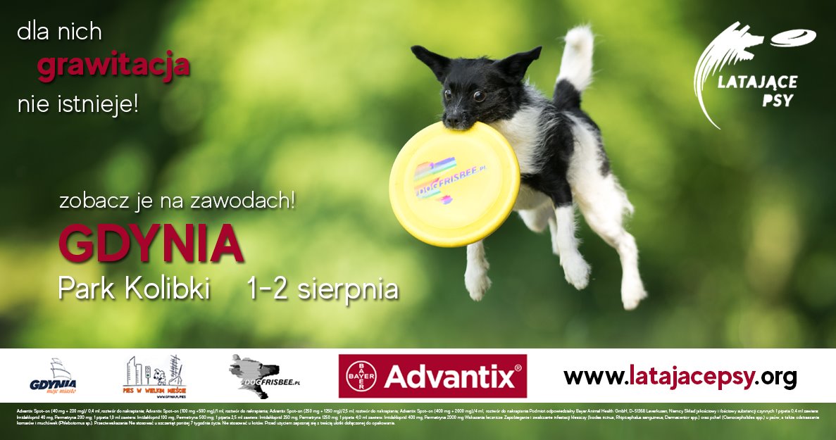 materiały promocyjne organizatora (Latające Psy - latajacepsy.org)