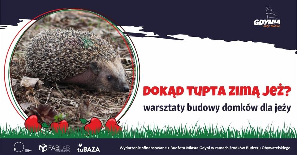 jeże z jabłuszkiem plakat do wydarzenia