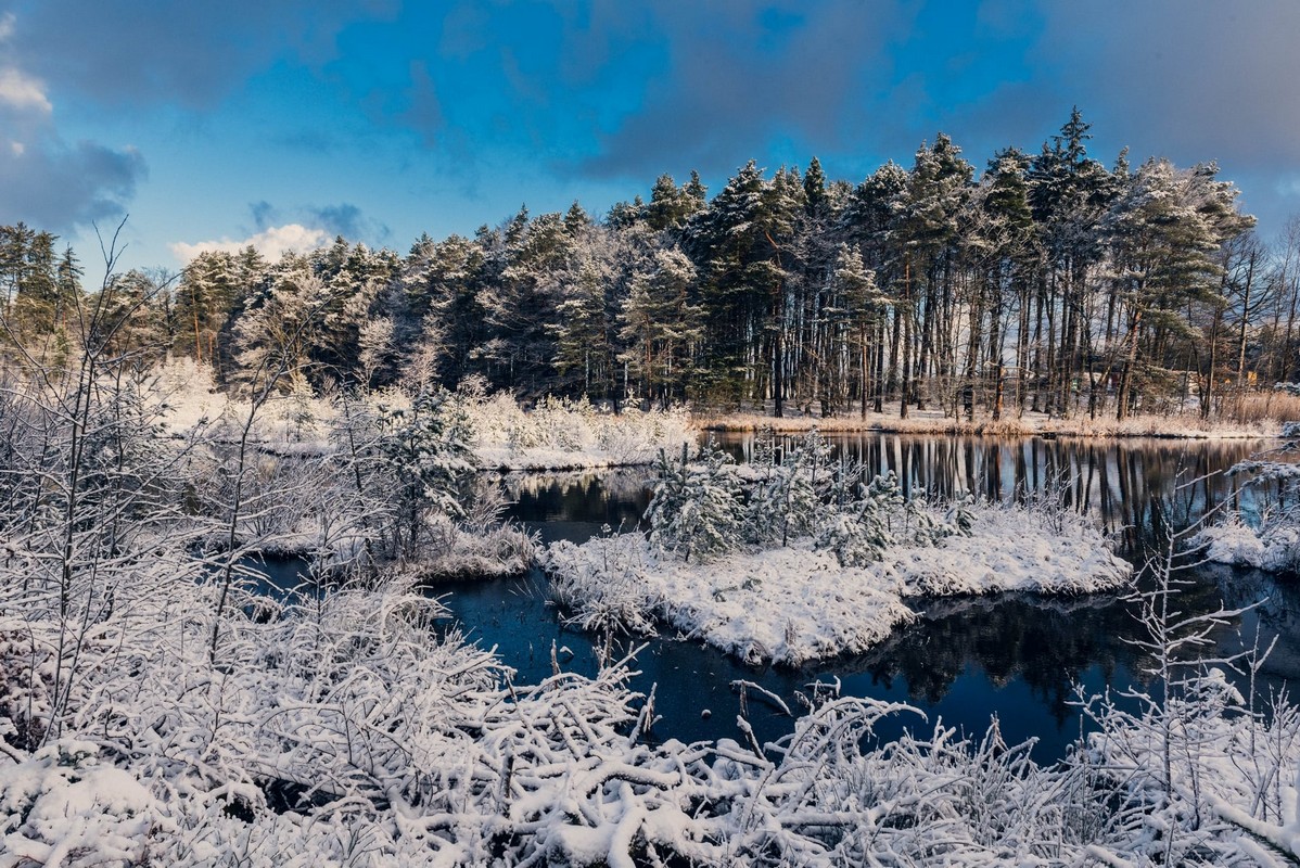 Jezioro Kackie w Wielkim Kacku w zimowej odsłonie. Zdjęcie pochodzi z facebookowej grupy &bdquo;Gdynia w obiektywie&rdquo; // fot. Zbigniew Piotr Piotrowski