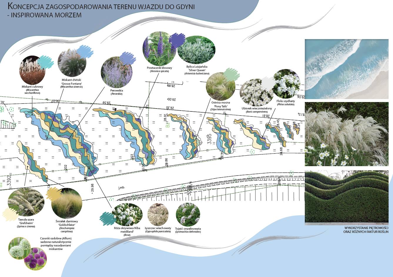 Projekt nasadzeń, rysunek techniczny