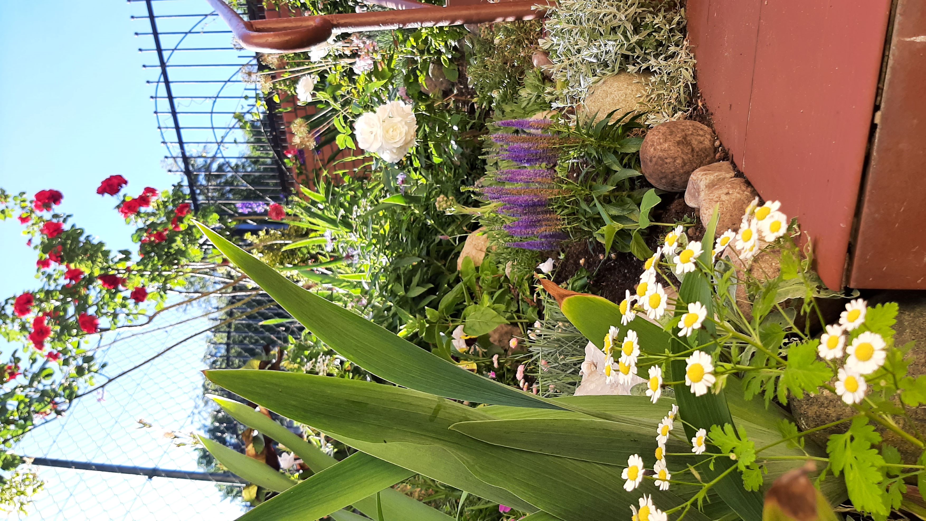 materiały organizatora