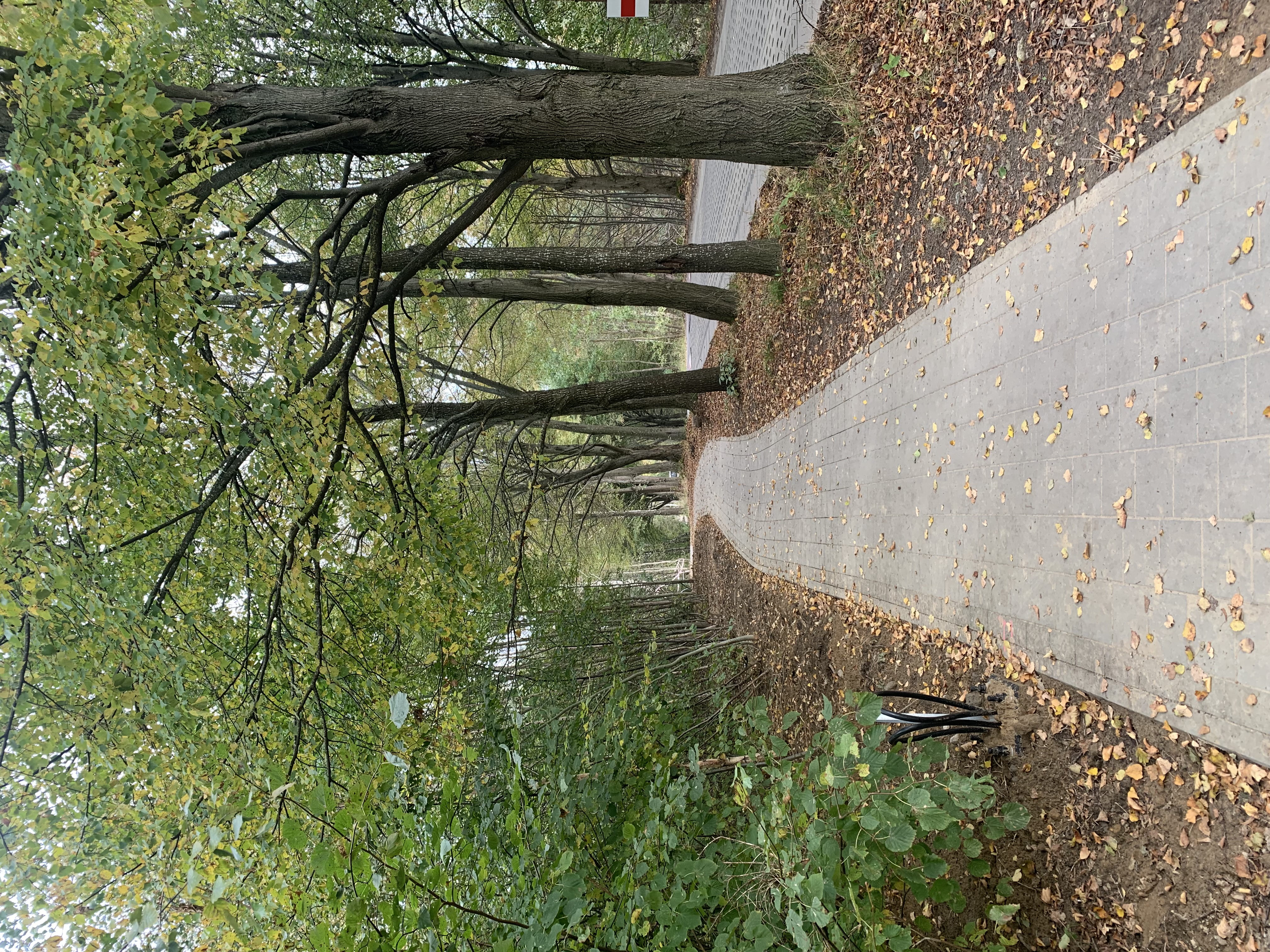 Ciąg pieszy przy ulicy A. Krauzego, fot. D.Matejczyk