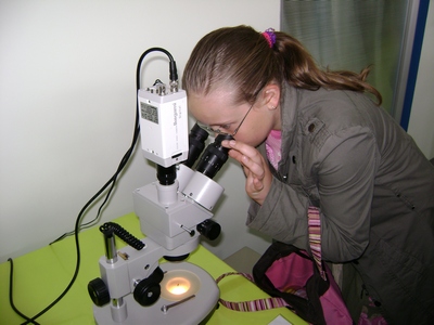 Experyment 2007 - zdjęcie4