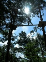 Kolibki Adventure Park - fot. Dorota Nelke