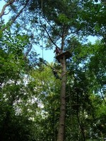 Kolibki Adventure Park - fot. Dorota Nelke