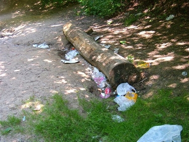 Śmieci w lesie