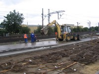Droga R&oacute;żowa - sierpień 2007