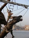 Dragon - miniatura