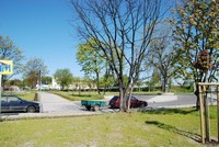 Droga R&oacute;żowa - maj 2008