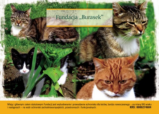 1% Mały procent wielka sprawa - Fundacja Burasek