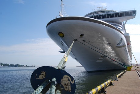 Emerald Princess fot. Dorota Nelke