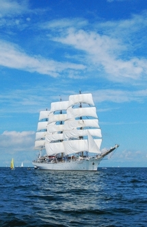 Dar Młodzieży w trakcie Tall Ships' Races 2009, fot.: Krzysztof Romański