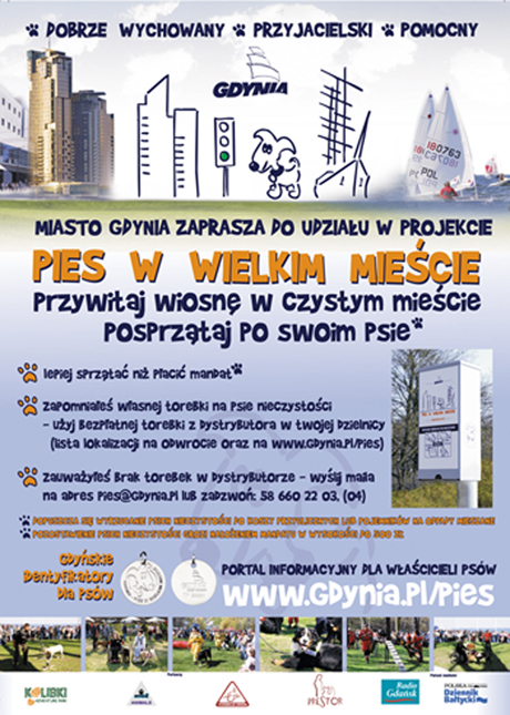 Pies w wielkim mieście