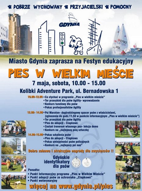 Festyn Pies w wielkim mieście