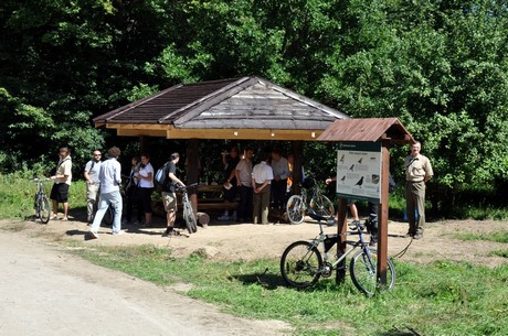 Kolejna leśna ścieżka rowerowa / fot. Dorota Nelke