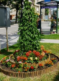 Gdynia w kwiatach 2011 - NZOZ Wzgórze Św. Maksymiliana