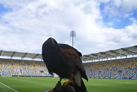 Na stadionie, fot.: Dorota Nelke
