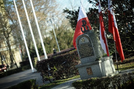 Bieg Niepodległości