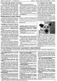 Ratusz_1031_str.5