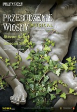 Przebudzenie wiosny - plakat