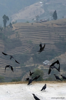 Wystawa fotografii Tadeusza Rzeczyckiego pt. „Nepal"